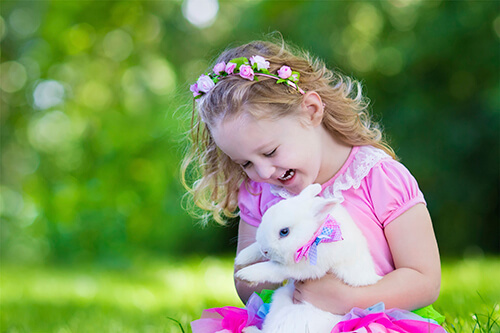Little girl with her pet rabbit