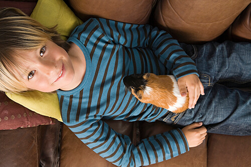 Young Boy and his Guinea Pig