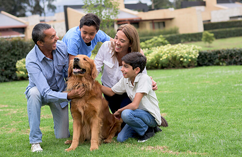 A Dog's Life and his Family